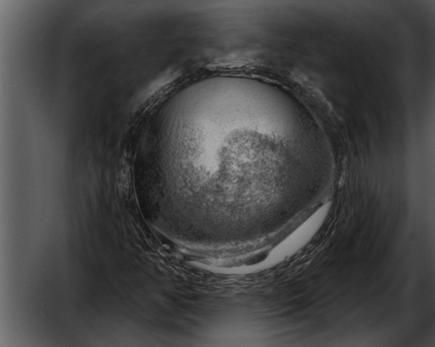 X0000052641350200507160146