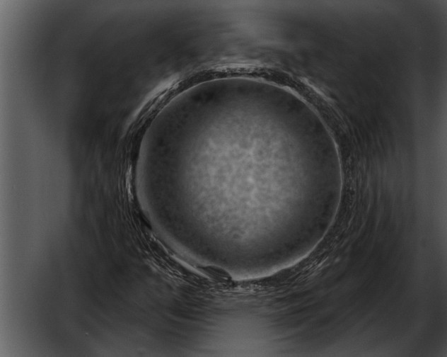 X0000052641351200507160146