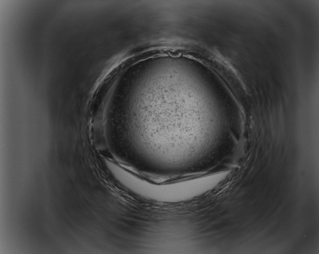 X0000052641352200507160146