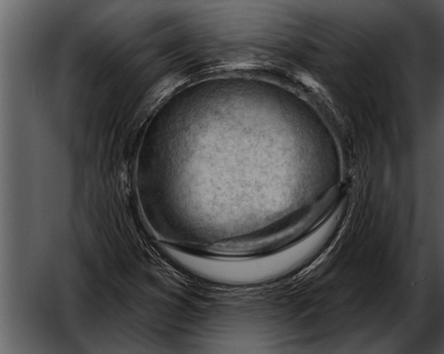 X0000052641353200507160146