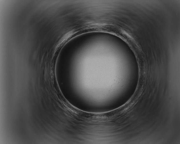 X0000052641354200507160146