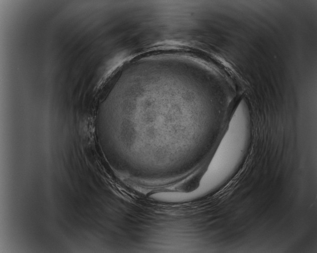 X0000052641355200507160146