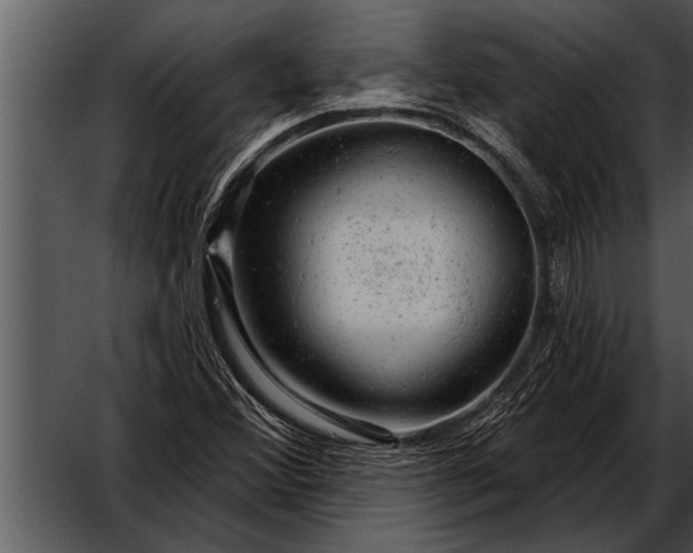 X0000052641356200507160146