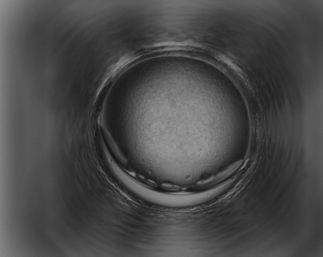 X0000052641357200507160146