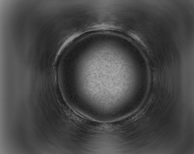 X0000052641358200507160146