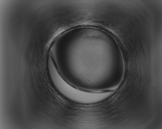 X0000052641359200507160146