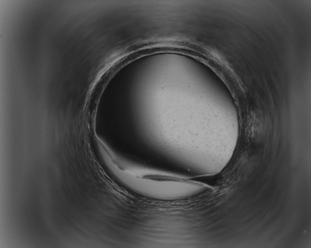 X0000052641360200507160146