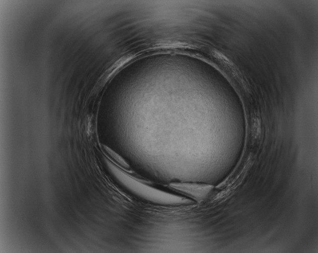 X0000052641361200507160146