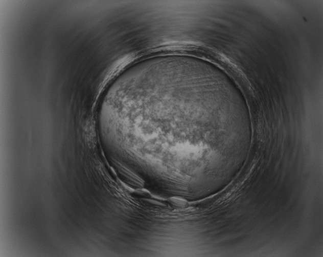 X0000052641362200507160146