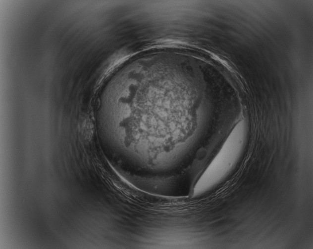 X0000052641363200507160146