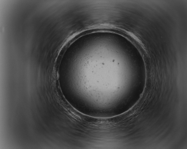 X0000052641364200507160146