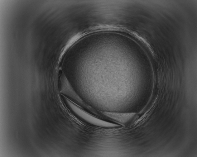 X0000052641365200507160146