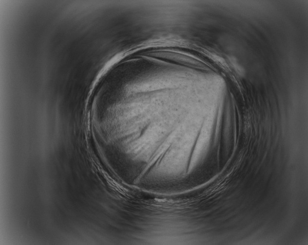 X0000052641366200507160146