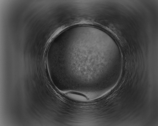 X0000052641367200507160146