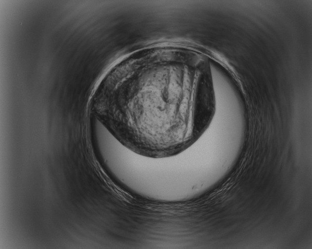 X0000052641368200507160146