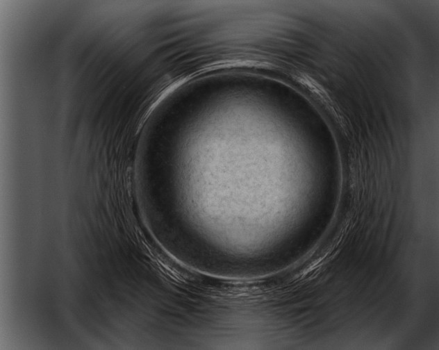 X0000052641369200507160146