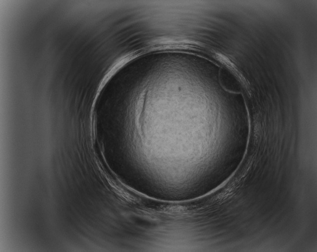 X0000052641370200507160146