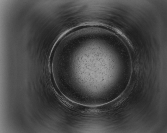 X0000052641372200507160145