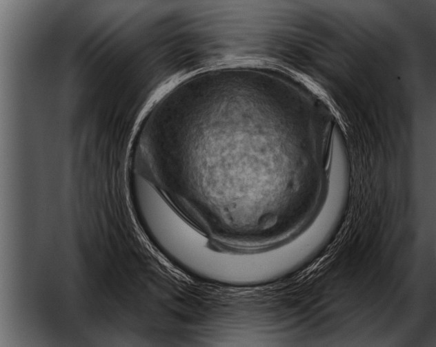 X0000052641373200507160145