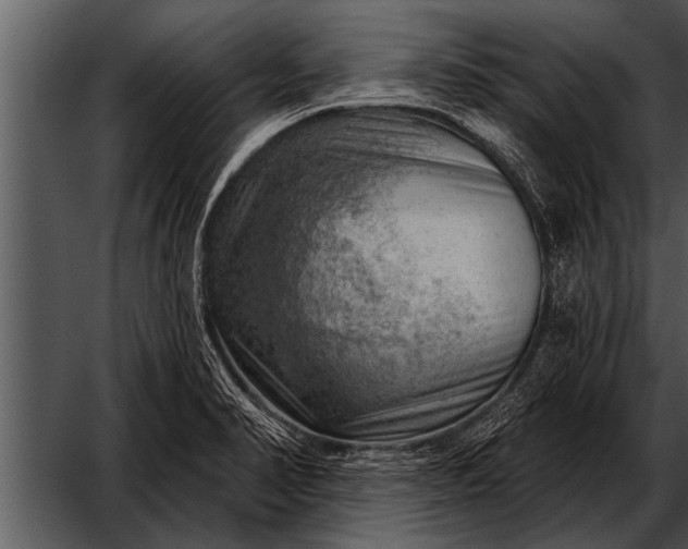 X0000052641374200507160145