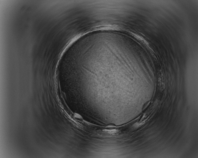 X0000052641375200507160145