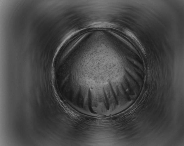 X0000052641376200507160145