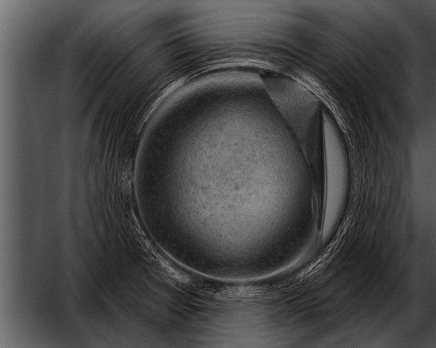 X0000052641377200507160145