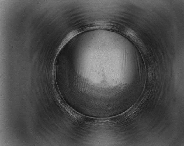 X0000052641378200507160145