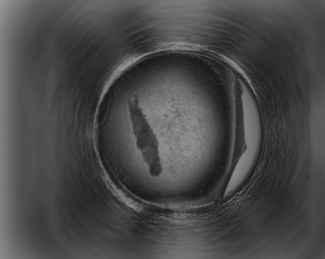 X0000052641379200507160145