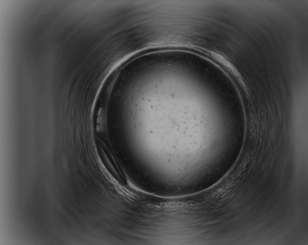 X0000052641380200507160145