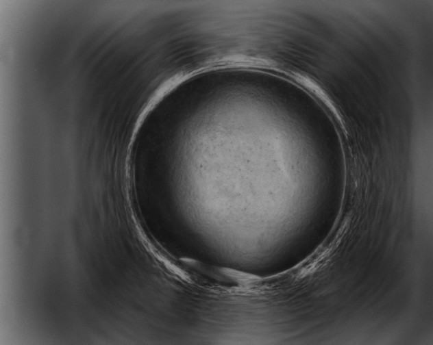 X0000052641381200507160145