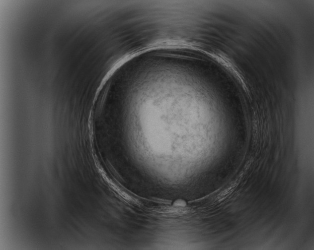 X0000052641382200507160145