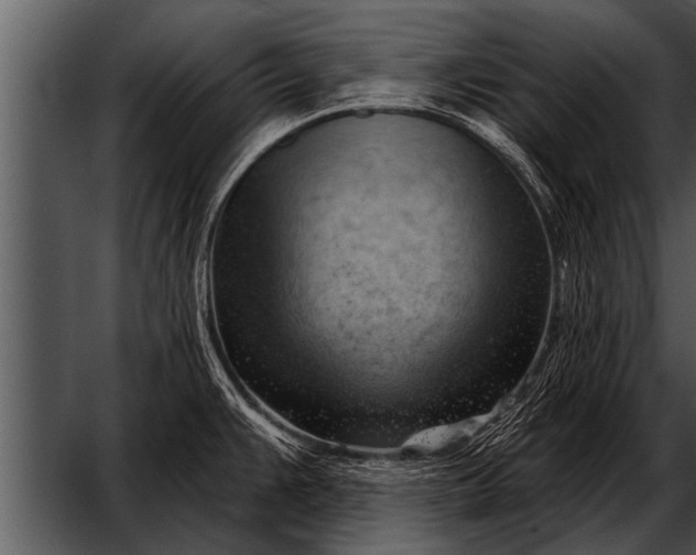 X0000052641383200507160145