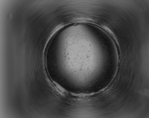 X0000052641384200507160145