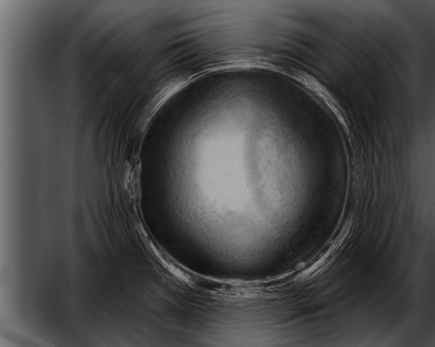 X0000052641385200507160145