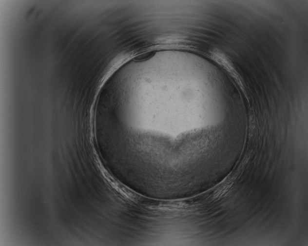 X0000052641386200507160145