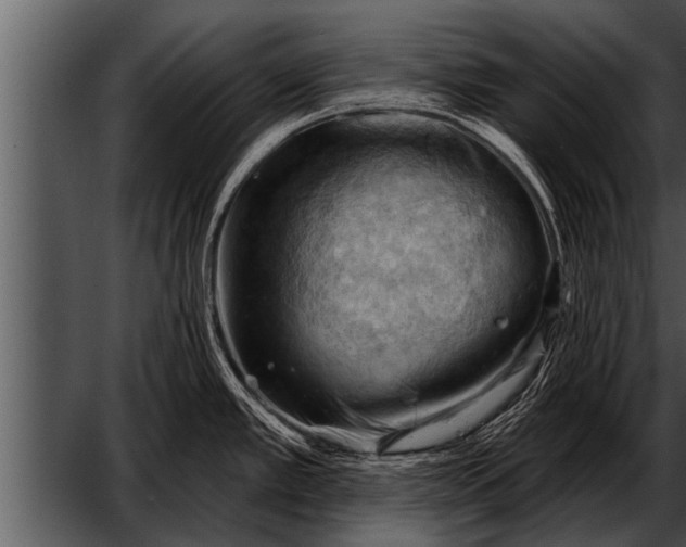 X0000052641389200507160145