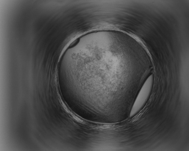 X0000052641390200507160145