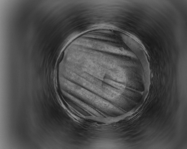 X0000052641391200507160145