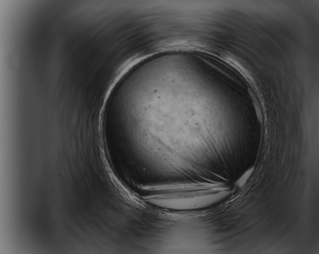 X0000052641392200507160145