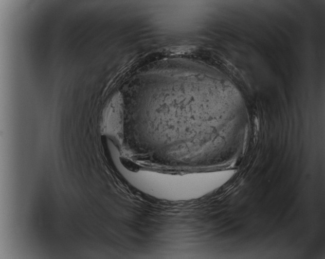 X0000052641393200507160144