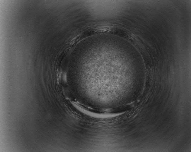 X0000052641394200507160144