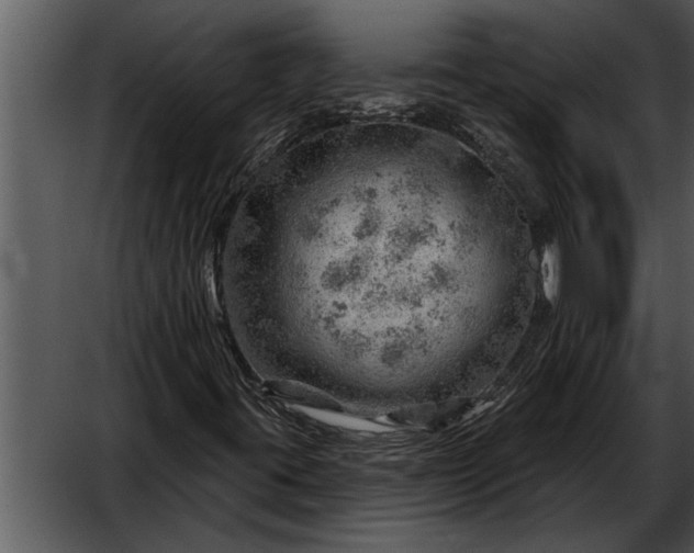 X0000052641395200507160144