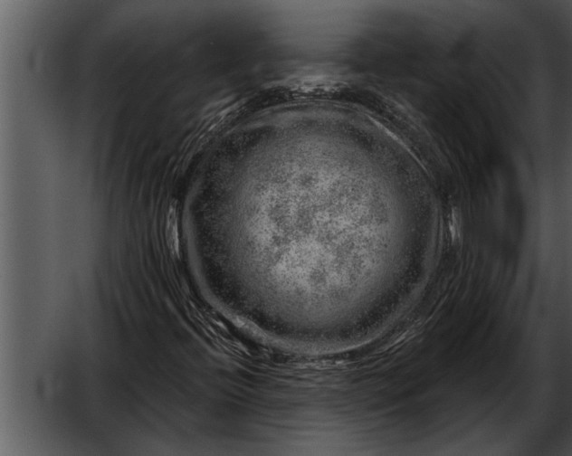 X0000052641396200507160144