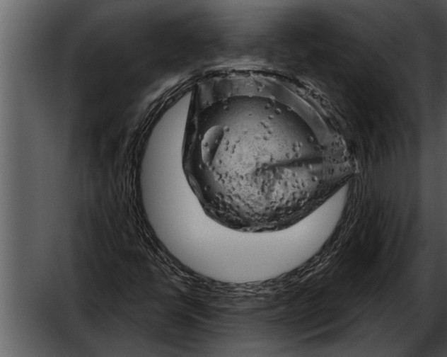 X0000052641398200507160144