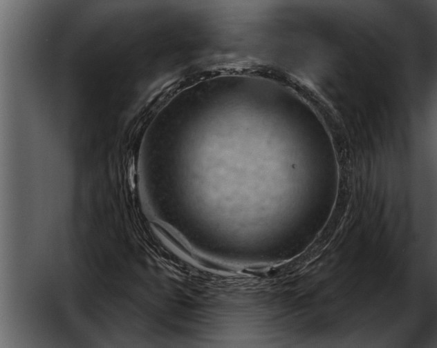 X0000052641399200507160144