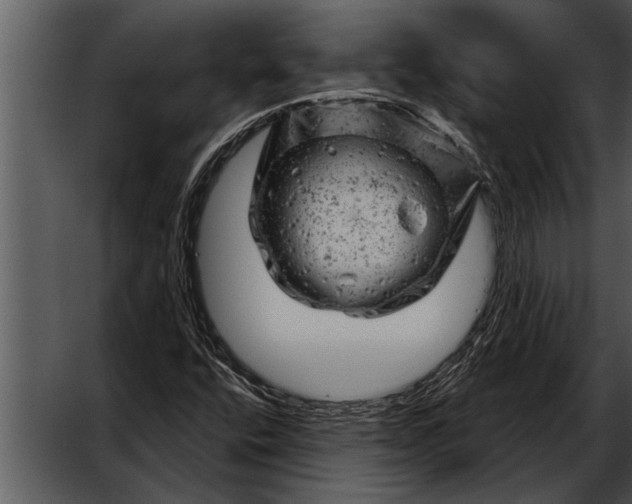 X0000052641400200507160144