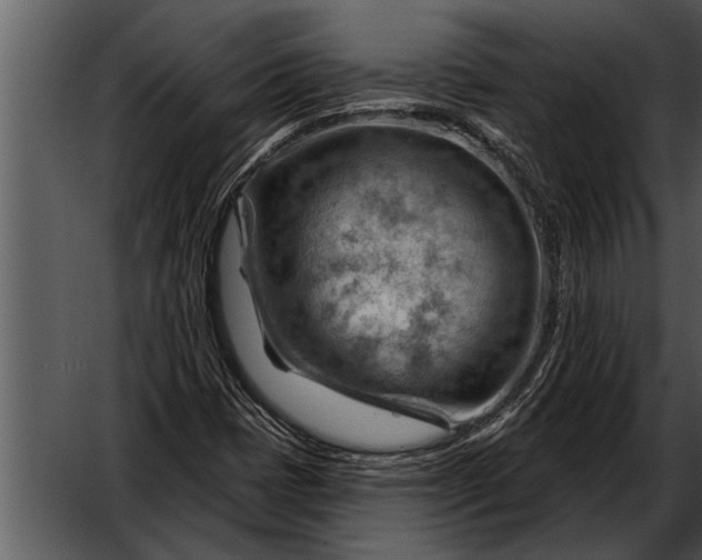 X0000052641401200507160144