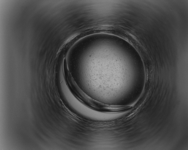 X0000052641402200507160144