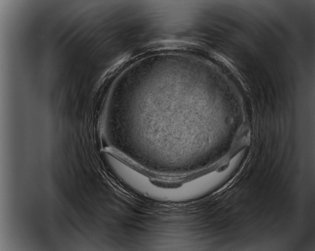 X0000052641403200507160144